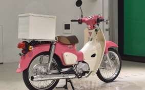 HONDA C110 SUPER CUB 2022 JA44