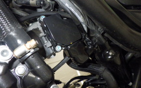 HONDA REBEL 250 2021 MC49