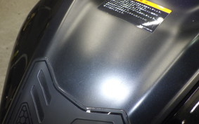 YAMAHA YZF-R15 1998 RG86J