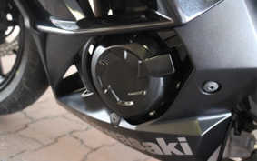 KAWASAKI NINJA 1000 2024 ZXT00L