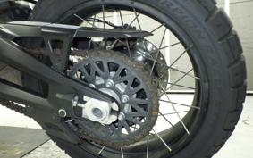 DUCATI DESSERT X 2022