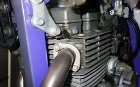 YAMAHA TT250R RAID 4GY