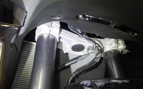 KAWASAKI NINJA 1000SX 2023 ZXT02K