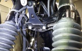 KAWASAKI W800 STREET 2020 EJ800B
