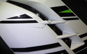 KAWASAKI NINJA 250 EX250L