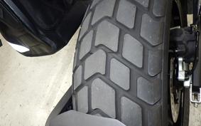 DUCATI SCRAMBLER ICON 2024