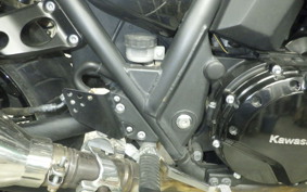 KAWASAKI ZRX1200 D 2014 ZRT20D