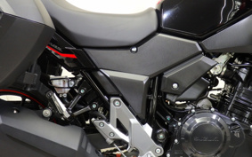 SUZUKI STROM 250ABS DS11A