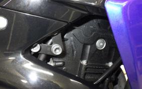 YAMAHA YZF-R25 2024 RG43J