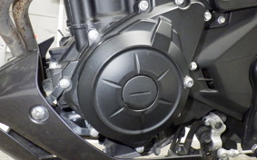 YAMAHA MT-25 RG10J