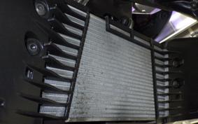 YAMAHA MT-25 2013 RG10J