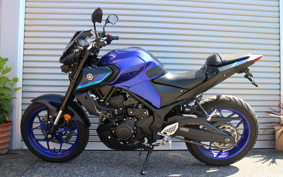 YAMAHA MT-25 RG74J