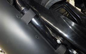 HARLEY FXBRS1870 2021
