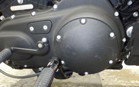 HARLEY XL1200NS 2020