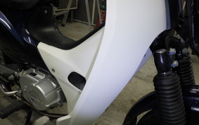 HONDA C110 SUPER CUB 2008 JA10