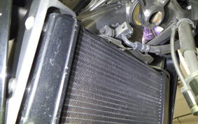 HONDA CB250RA 2026 MC52