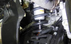 YAMAHA WR250X DG15J