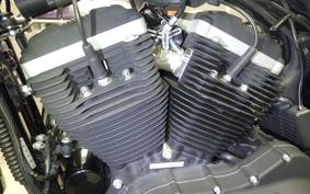 HARLEY XL883N 2013