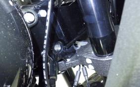HARLEY FXLRST1920 2026
