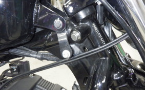HARLEY XL1200NS 2018