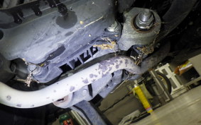 HONDA TACT Basket 2007 AF75