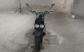HONDA ZUMAR AF58