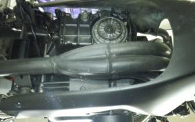 HONDA HORNET 250 MC31
