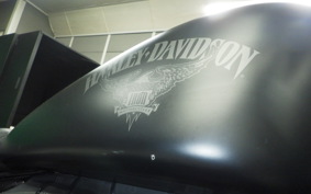 HARLEY XL883N 2017