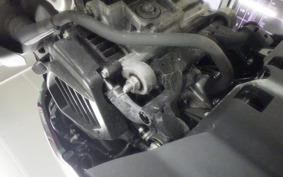 HONDA TACT Basket 2006 AF79