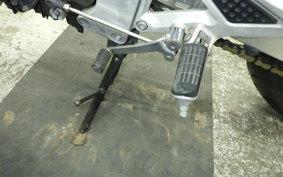HONDA HORNET 250 2025 MC31