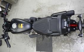 OTHER +QJSRV250A 2024