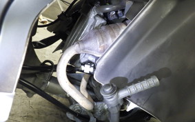 HONDA GYRO X 2024 TD02
