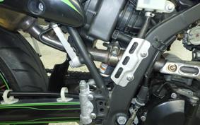 KAWASAKI KLX250D TRACKER X 2019 LX250V