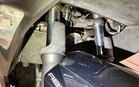 KAWASAKI NINJA 250 EX250L