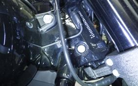 HARLEY FXLRS1920 2024