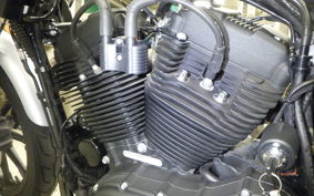 HARLEY XL1200NS 2020