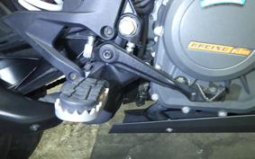 KTM 250 ADVENTURE
