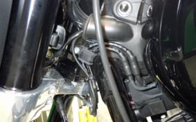HARLEY FLSB 1750 2025