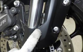 TRIUMPH TRIDENT 660 2021