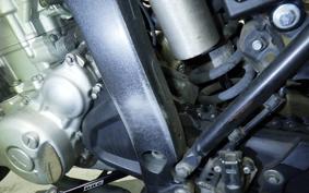 YAMAHA WR250X DG15J