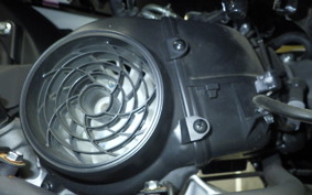 HONDA BENLY 110 JA09