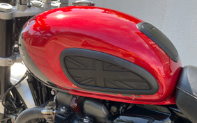 TRIUMPH SPEED TWIN 2024 DAD85H