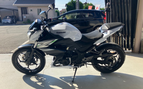 KAWASAKI Z250 ER250C