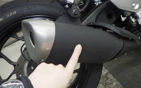 YAMAHA YZF R-3 2024 RH21J