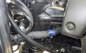 SUZUKI GSX250 R