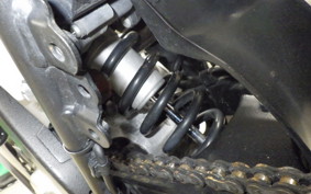 YAMAHA WR250X 2023 DG15J