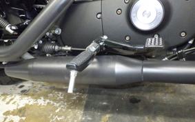 HARLEY XL883N 2018