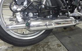 KAWASAKI W800 2025 EJ800E