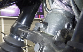 TRIUMPH BONNEVILLE T120 2024