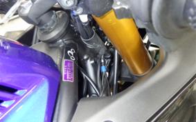 YAMAHA YZF-R25 A 1994 RG95J